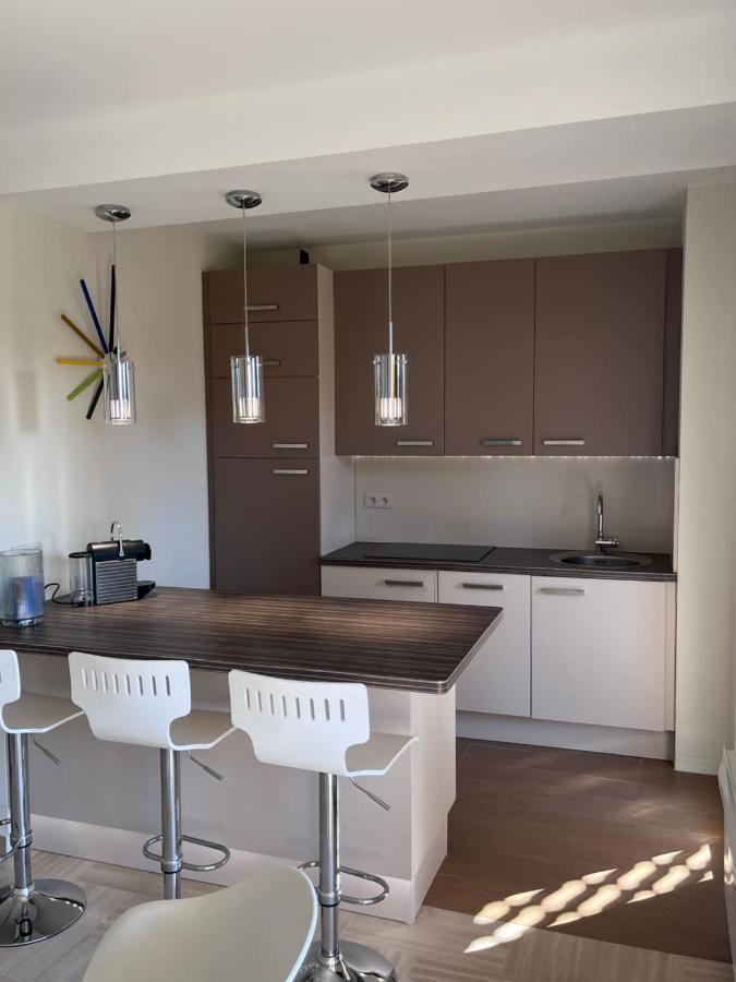 Appartement Avec Terrasse, Vue Jardin Et Piscine อองทีบส์ ภายนอก รูปภาพ